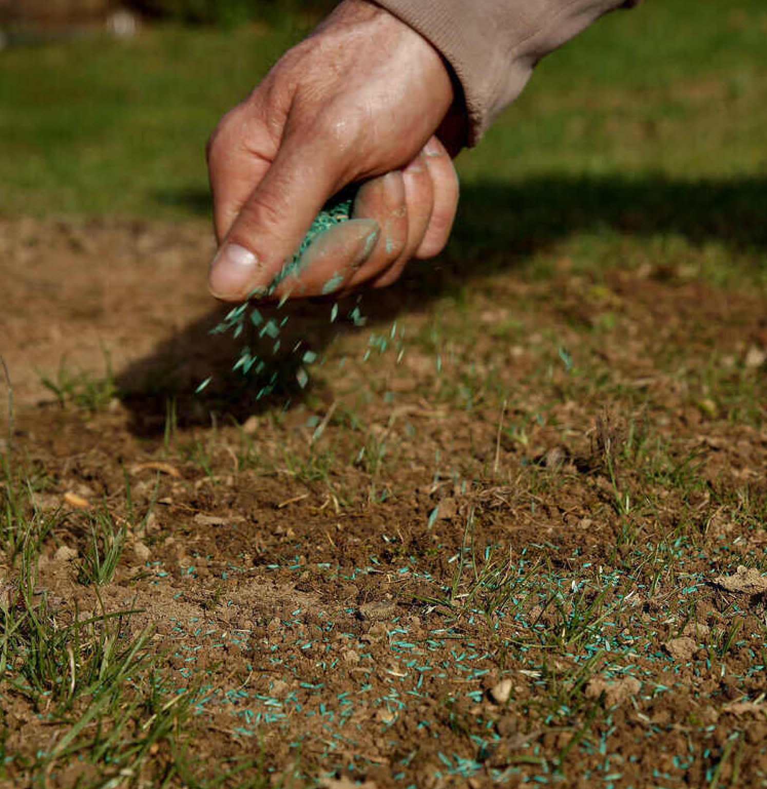 Lawn Aeration And Seeding Services Maryland - Instagram